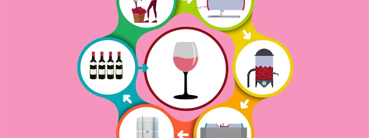 Roze Şarap Nasıl Yapılır | 6 Adımda Roze Şarap Yapımı