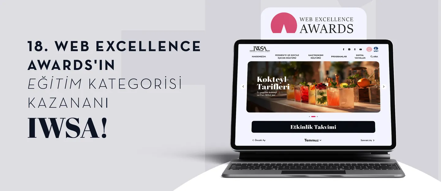 WEB EXCELLENCE AWARDS