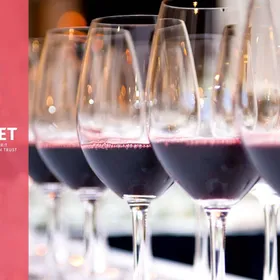 WSET 1. Seviye Şarap Yeterlilik Programı