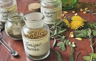 Cin Dünyasında Bilmeniz Gereken 5 Terim