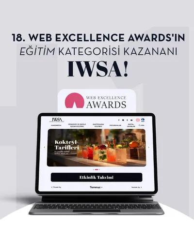 WEB EXCELLENCE AWARDS