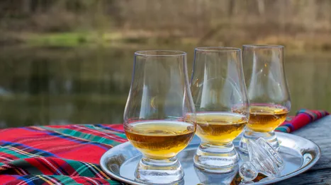 5 KİTAPTA SCOTCH DÜNYASINA YOLCULUK