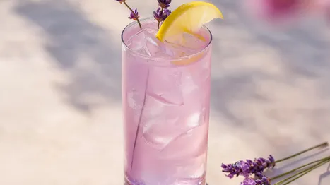 Lavender Collins