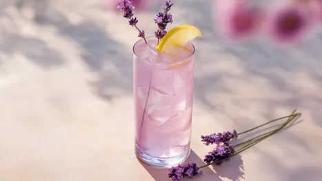 Lavender Collins