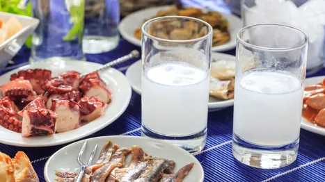 Ouzo nedir?