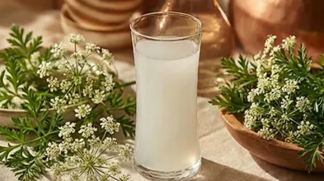 Rakı Meraklılarına 5 Terim