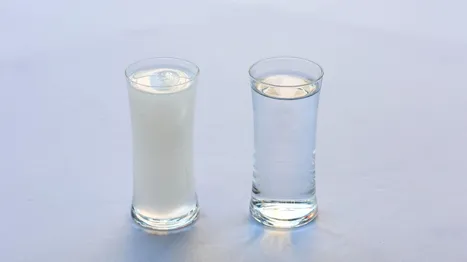 Rakı Tarihi