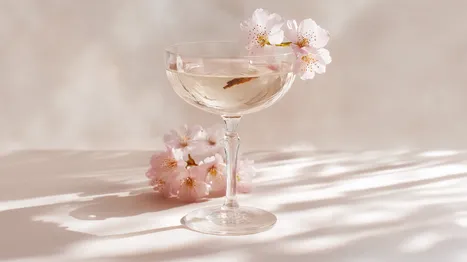 Sakura Martini