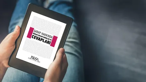 Şarap E-Book