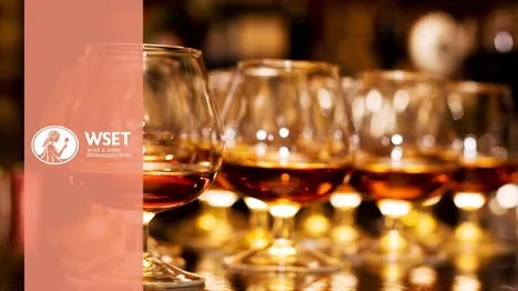 WSET 1. SEVİYE DİSTİLE İÇKİLERDE YETERLİLİK PROGRAMI