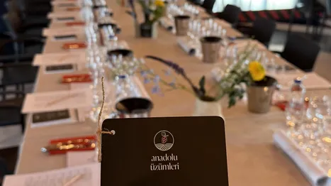ANADOLU ÜZÜMLERİ