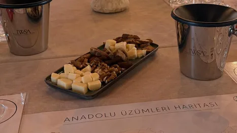 ANADOLU ÜZÜMLERİ