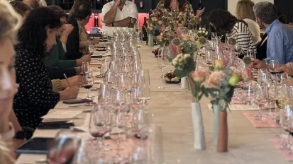 IWSA KAVI: BORDEAUX KUPAJLARI
