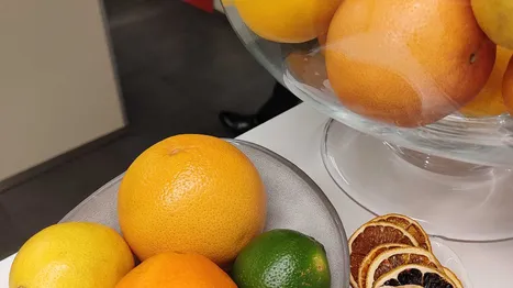 MIX LAB: TEQUILA 101