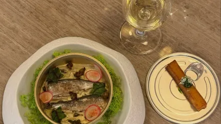 WINE&DINE: ÜZÜMLER VE İNSANLAR