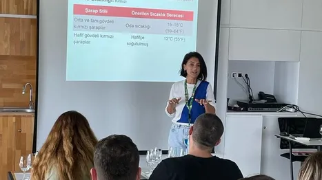 WSET-1. Seviye Şarap Yeterlilik Programı