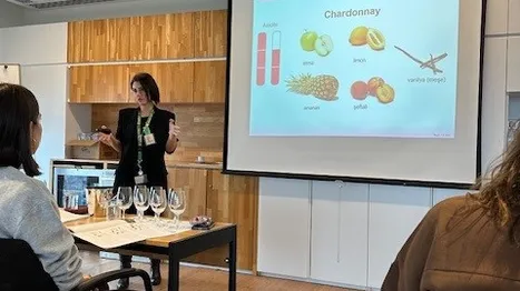 WSET-1. Seviye Şarap Yeterlilik Programı