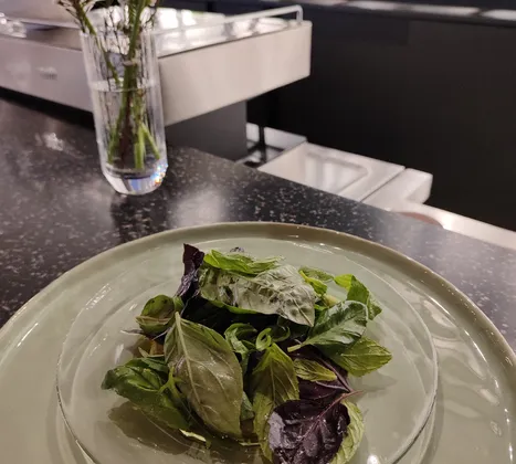 Şehrin Balık Vakti