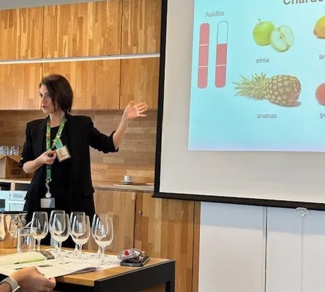 WSET-1. Seviye Şarap Yeterlilik Programı