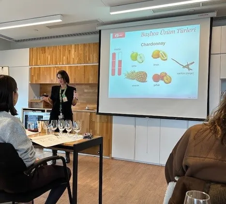 WSET-1. Seviye Şarap Yeterlilik Programı