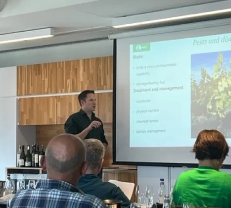 WSET-3. Seviye Şarap Yeterlilik Programı