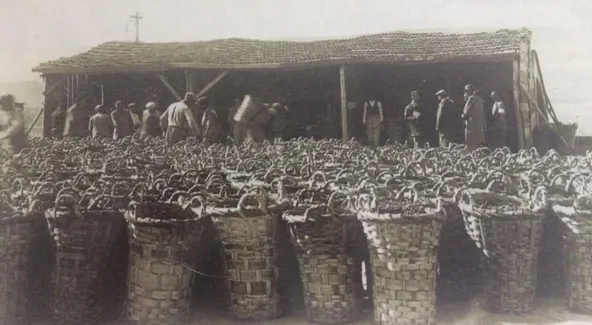 Buralar Hep Bağlıktı!