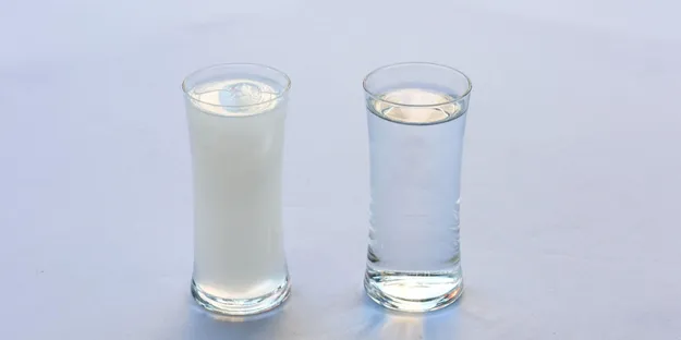 Rakı Tarihi