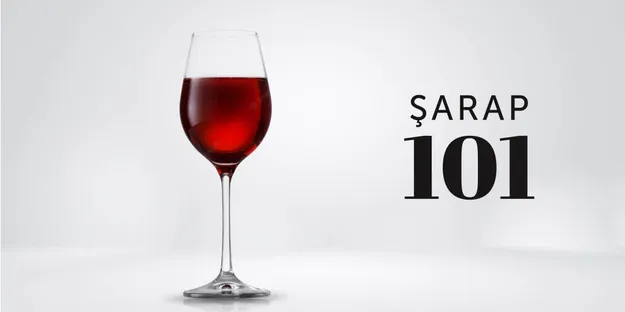 Şarap 101