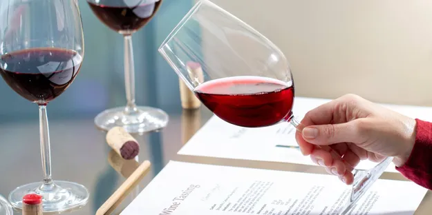 WSET Şarap Yeterlilik Programları