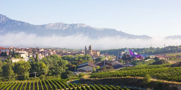 10 Maddede Rioja
