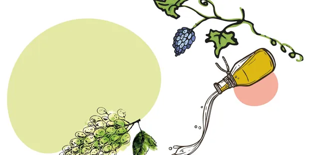 5 Farklı Salata ve Üzümler