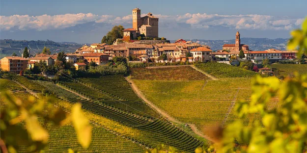 6 Maddede Barolo