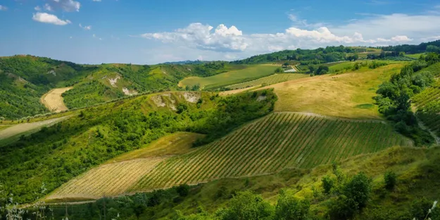Ahmet Gök: Emilia - Romagna Şarapları