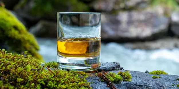 Aqua Vitae Nedir?