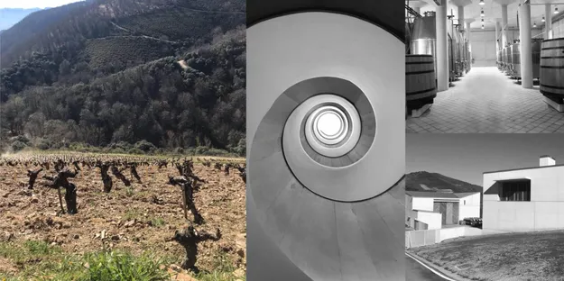 Ayhan Güleyen: Mencia Deyince Bierzo, Bierzo Deyince Galicia