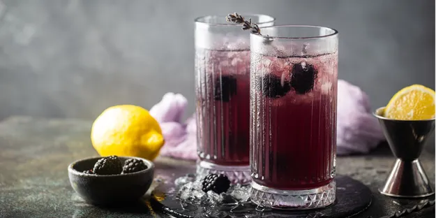 Blackberry Mojito