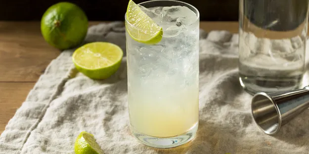 Gin Rickey