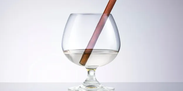 Hot Gin Toddy