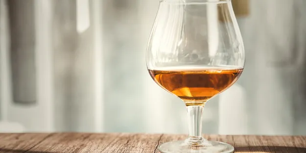 Konyak (Cognac) Nedir?