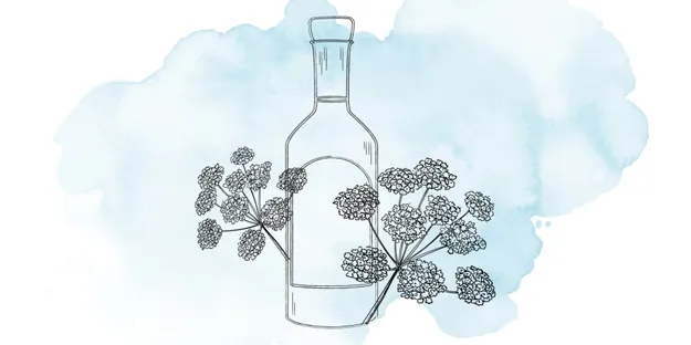 Rakı Etiketi Nasıl Okunur?