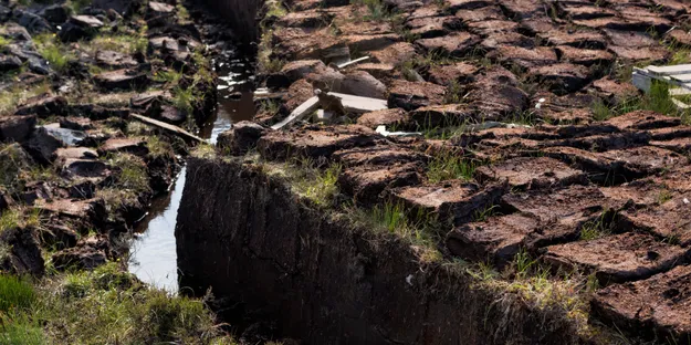 Turba (Peat) Nedir?