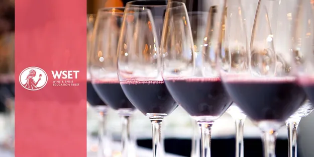 WSET 1. Seviye Şarap Yeterlilik Programı