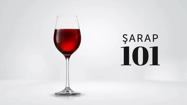 Şarap 101