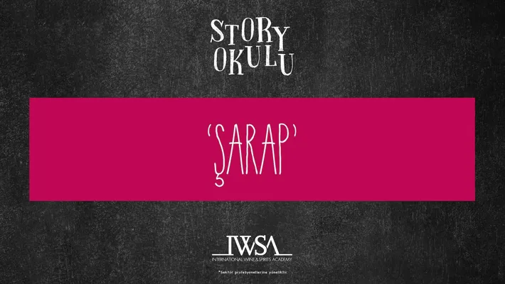 Şarap Story School