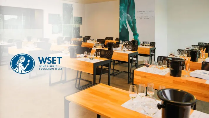 WSET Yeterlilik Programları