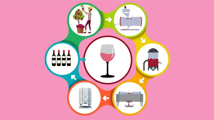 Roze Şarap Nasıl Yapılır | 6 Adımda Roze Şarap Yapımı