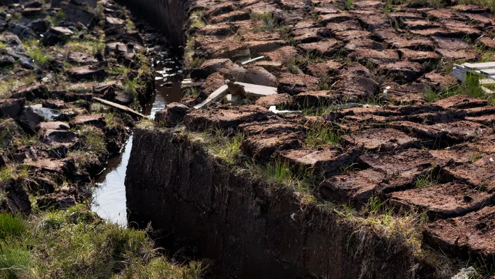 Turba (peat) nedir?