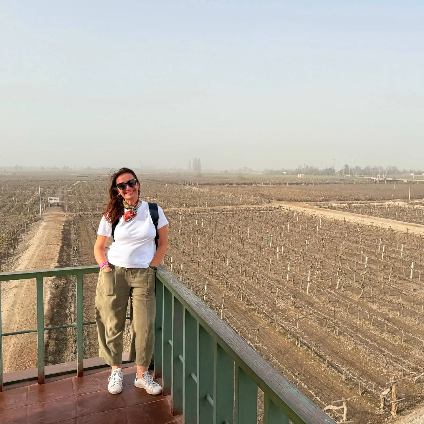 PERU: Çölün, Okyanusun, Yüksek Rakımın Şarapları