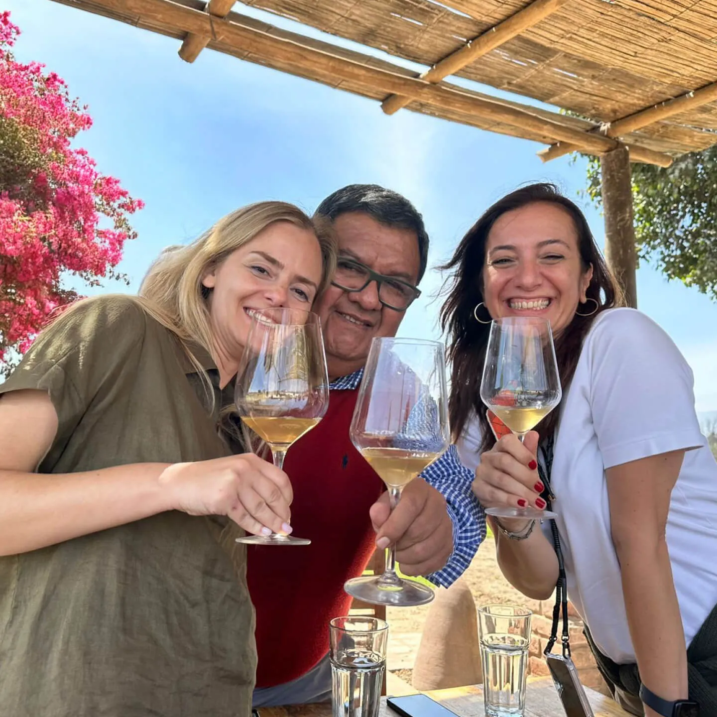 PERU: Çölün, Okyanusun, Yüksek Rakımın Şarapları