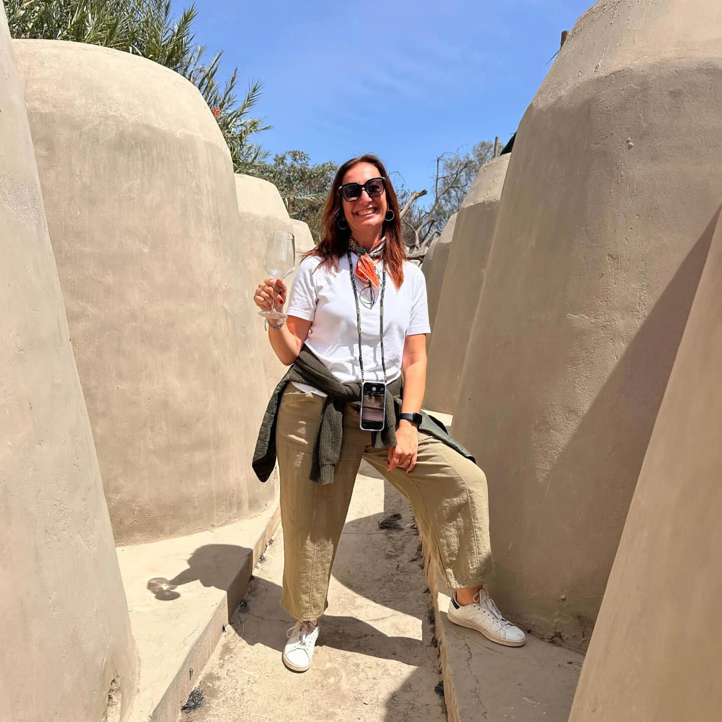 PERU: Çölün, Okyanusun, Yüksek Rakımın Şarapları